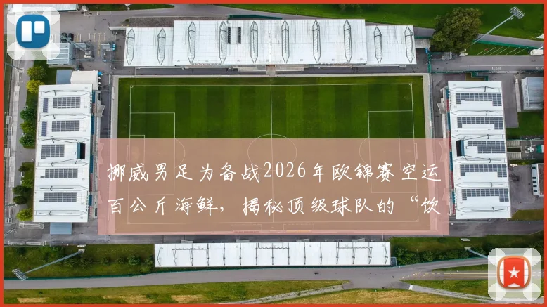 挪威男足为备战2026年欧锦赛空运百公斤海鲜，揭秘顶级球队的“饮食战斗力”