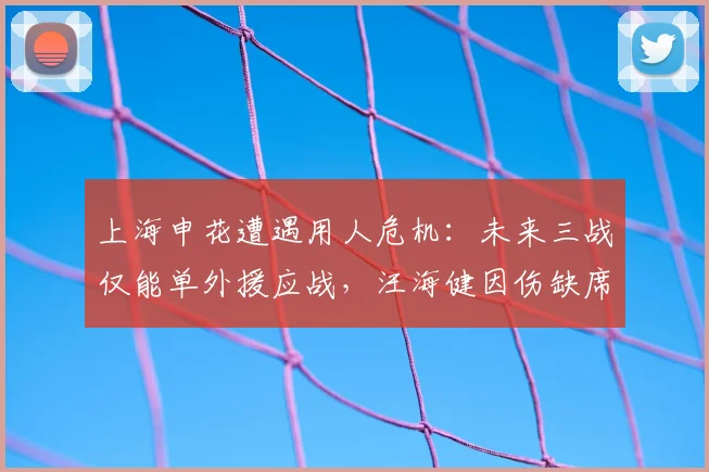 上海申花遭遇用人危机:未来三战仅能单外援应战,汪海健因伤缺席,考验吴金贵排兵布阵