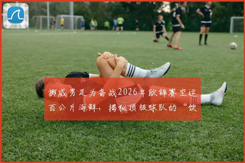 挪威男足为备战2026年欧锦赛空运百公斤海鲜，揭秘顶级球队的“饮食战斗力”